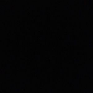 Meet your Posher, Derrilynn